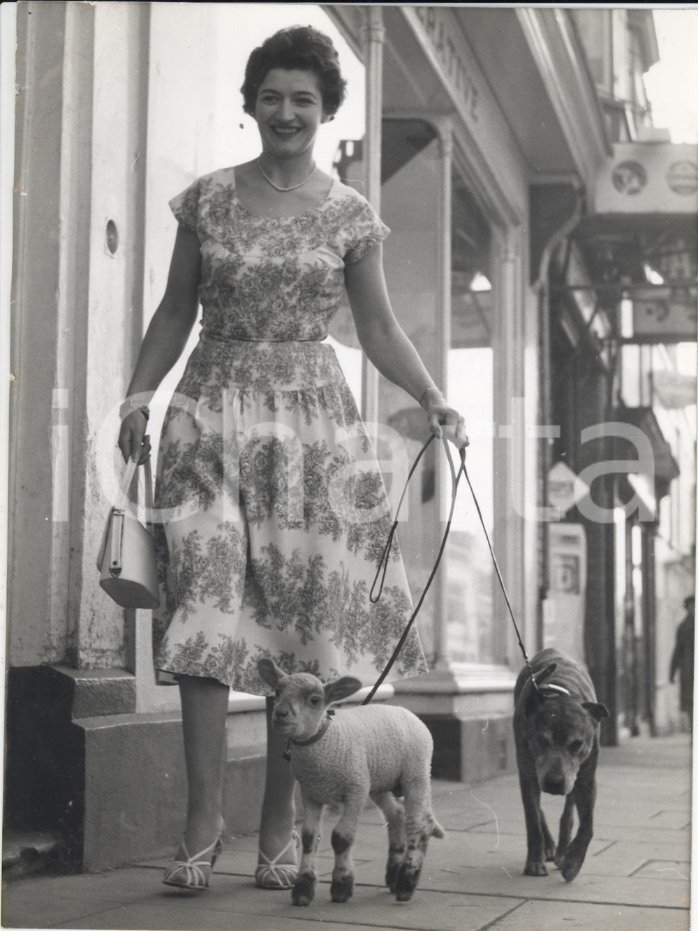 Fotografia d epoca originale 1960 GLASTONBURY High Street Mary OTTON walking with her lamb Tiddlywink Photo 1
