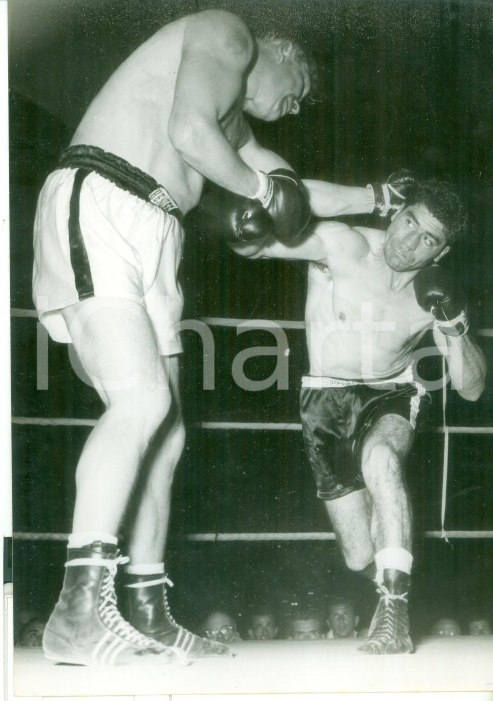 Fotografia d epoca originale 1955 BOLOGNA PUGILATO  Franco CAVICCHI sferra un gancio all avversario  Foto 1