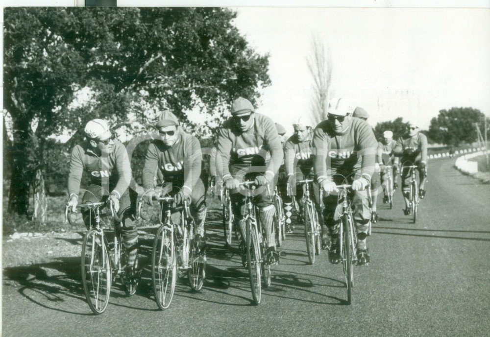 Fotografia d epoca originale 1959 CICLISMO Allenamento IGNIS  Giudo MESSINA Miguel POBLET Ercole BALDINI 1