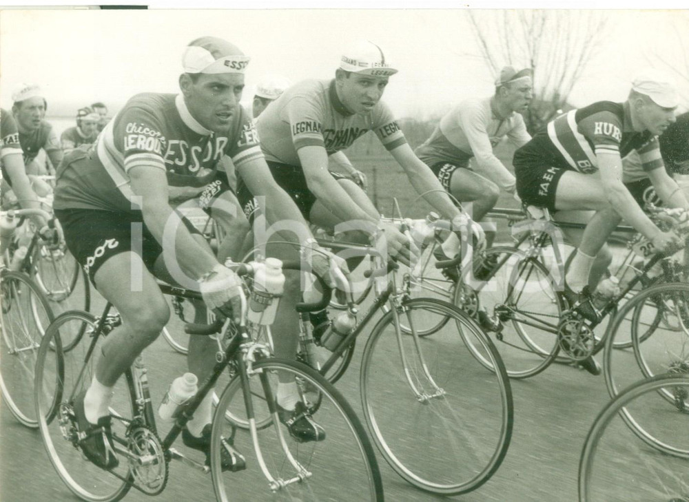 Fotografia d epoca originale 1957 PASSO DEL TURCHINO  MILANOSANREMO Ciclismo  Ercole BALDINI nel gruppo 1