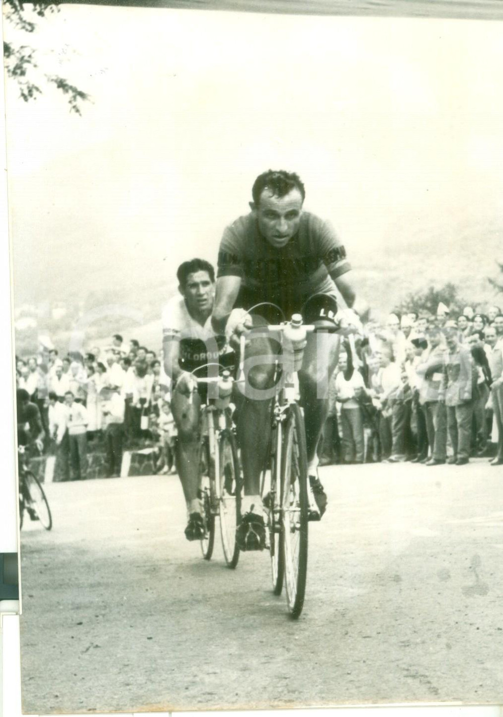 Fotografia d epoca originale 1950 ca MONTE OPPIO CICLISMO  GIRO TOSCANA  Ercole BALDINI e Gastone NENCINI 1