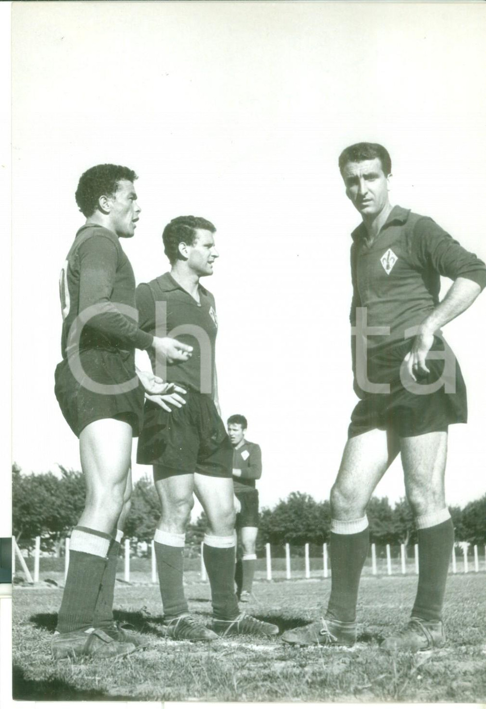 Fotografia d epoca originale 1950 ca FIORENTINA CALCIO  Miguel MONTUORI Guido GRATTON Armando SEGATO Foto 1