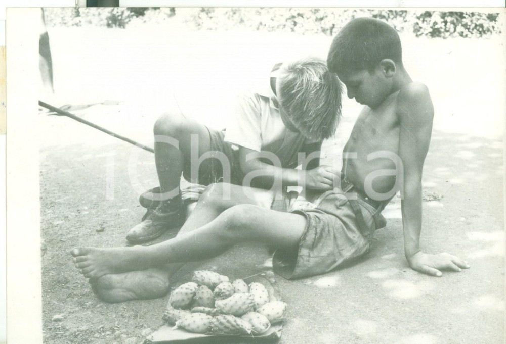 Fotografia d epoca originale 1950 ca PALERMO Due giovani ladri di fichi d India si riposano sulla strada 1