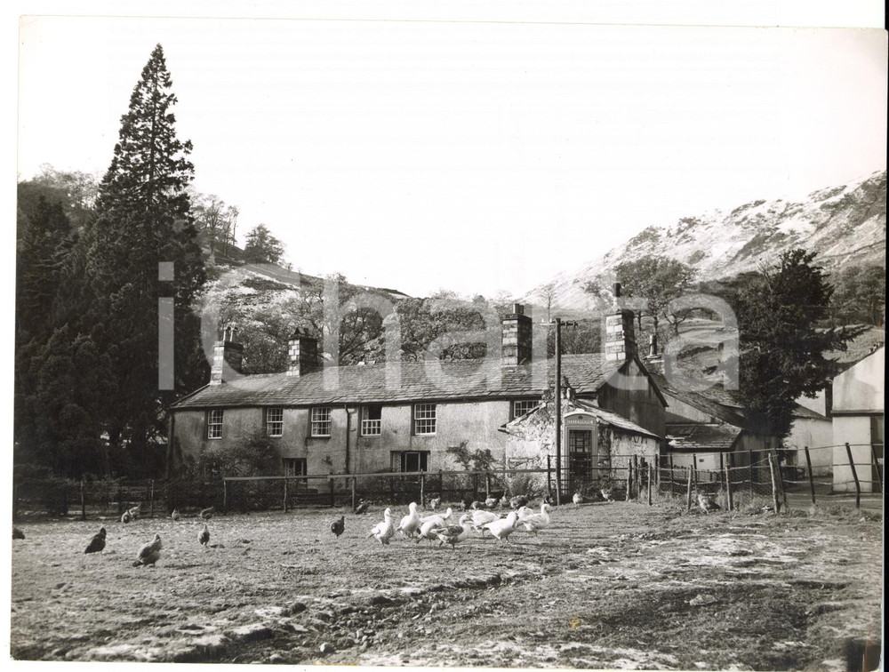 Fotografia d epoca originale 1959 BORROWDALE View of Seatoller Farm  New property of National Trust Photo 1