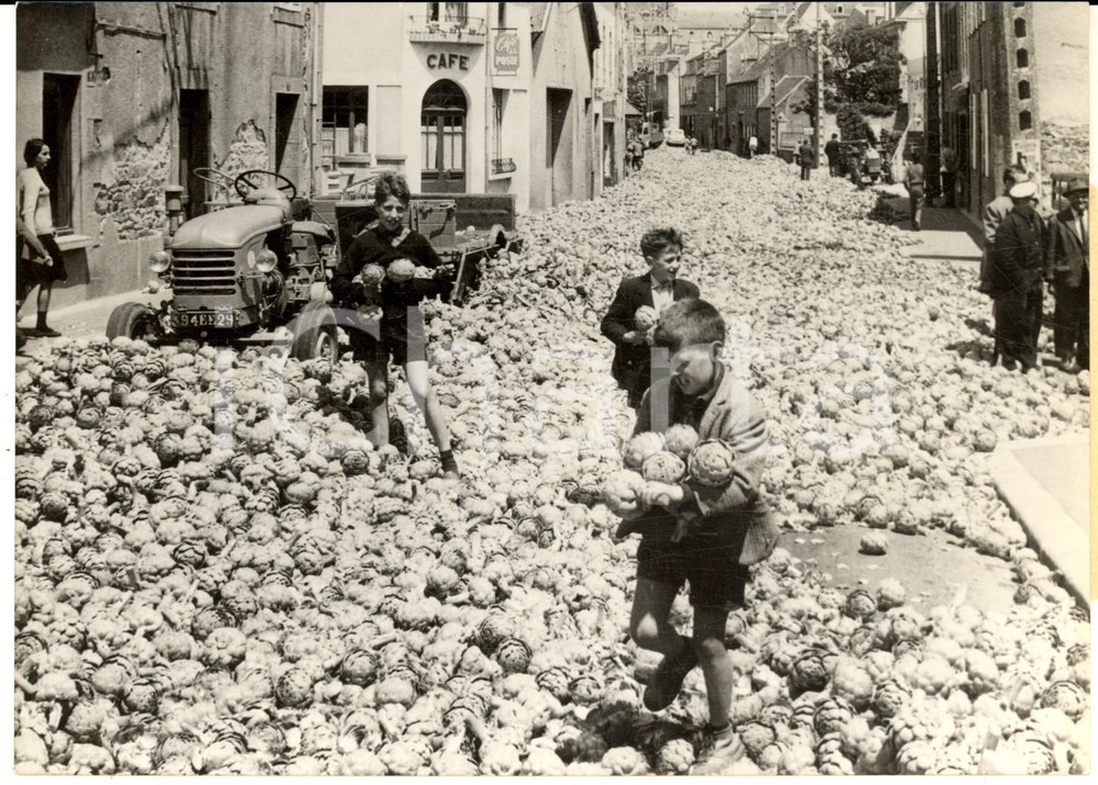 Fotografia d epoca originale 1962 SAINTPOLDELEON Guerre des artichauts  Rue CADIOU envahie  Photo 1
