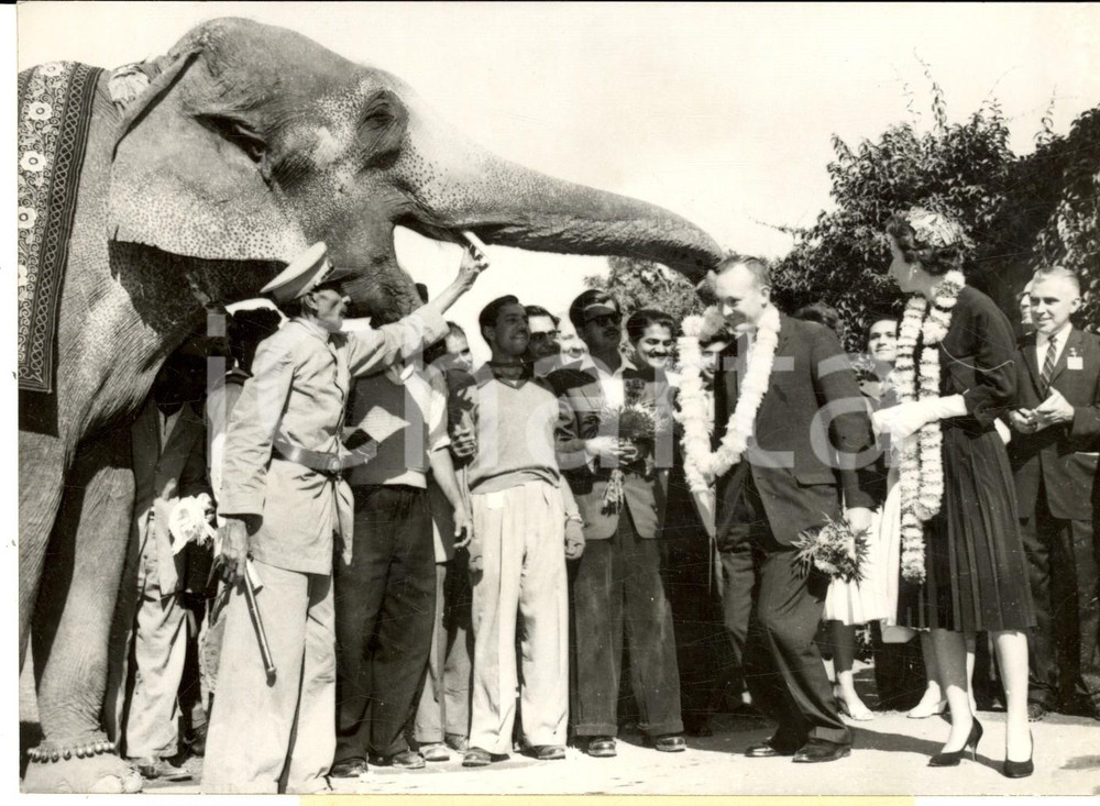 Fotografia d epoca originale 1959 INDIA Cerimonia di benvenuto per John EISENHOWER e consorte  Foto 18x13 1
