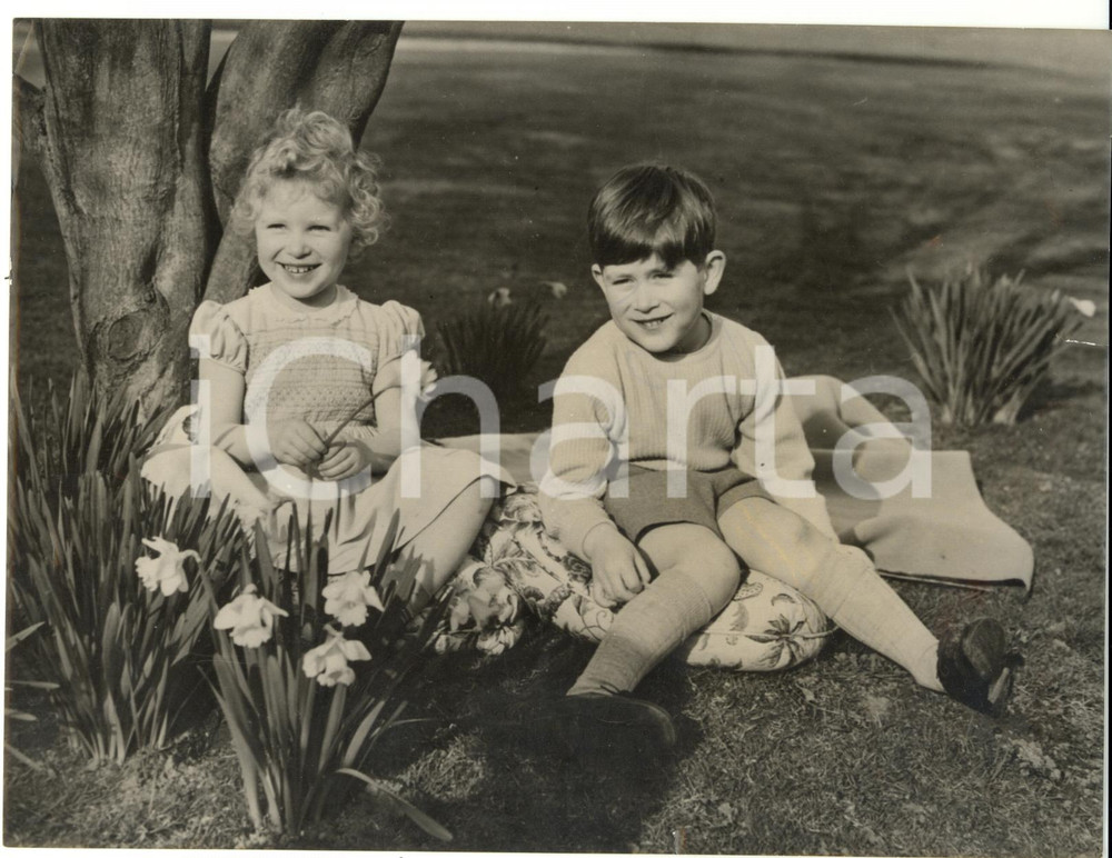 Fotografia d epoca originale 1954 WINDSOR The Royal children Charles and Anne sitting among daffodils Photo 1