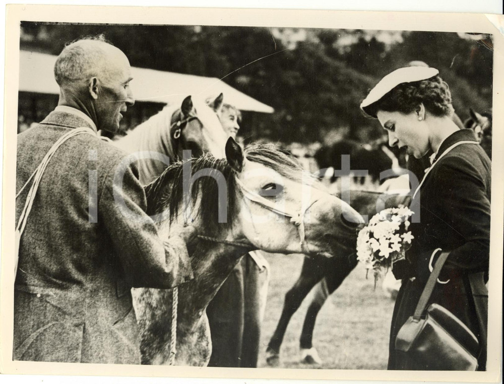 Fotografia d epoca originale 1955 BRECKNOCKSHIRE Agricultural Society  A pony tasting ELIZABETH II s bouquet 1