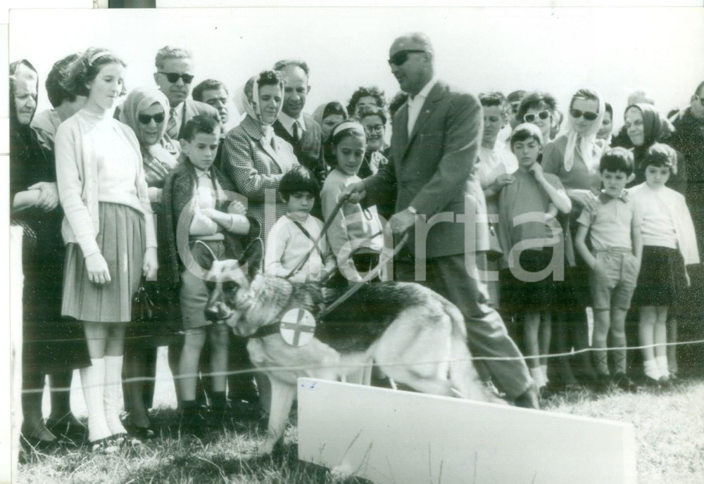 Fotografia d epoca originale 1960 ca BORMIO Manifestazione cinofila dell Unione Ciechi della Valtellina Foto 1
