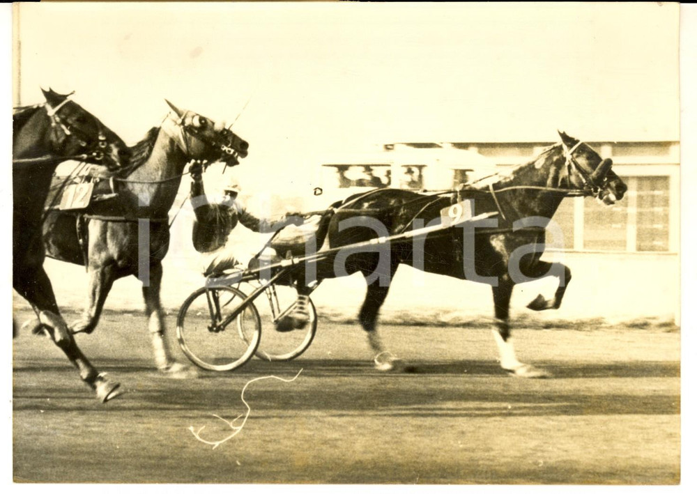 Fotografia d epoca originale 1963 Hippodrome PARIS VINCENNES Prix Bourgogne  Hans SASSE tient deux chevaux 1