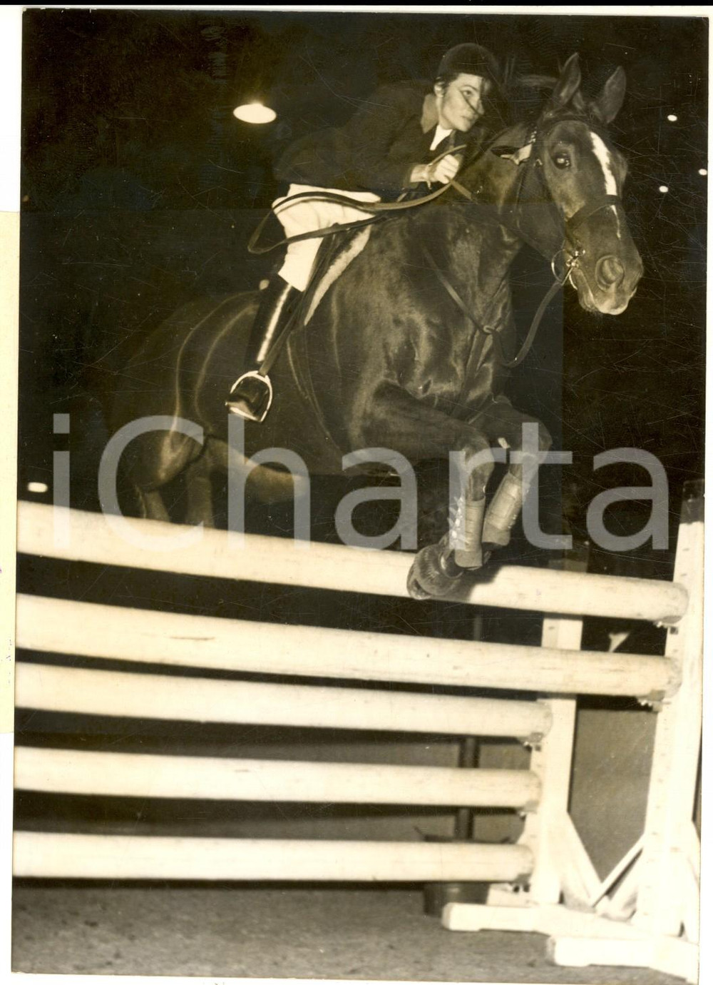 Fotografia d epoca originale 1955 PARIS Jumping International  M.lle LALONDE sur Furius sautant un obstacle 1