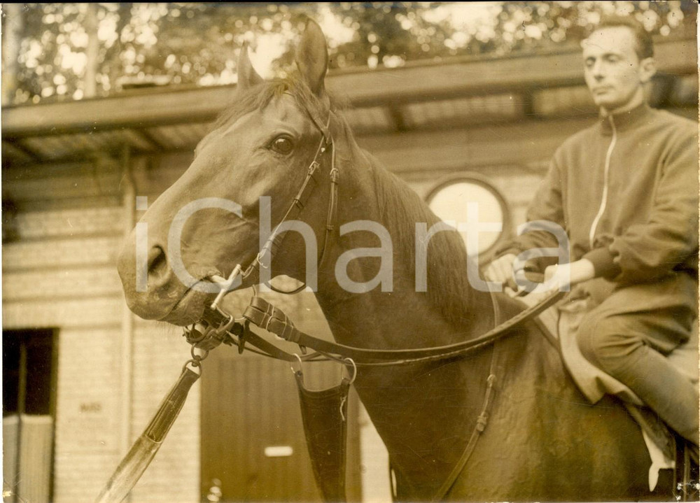 Fotografia d epoca originale 1956 PARIS Prix ARC DE TRIOMPHE Cavallo italiano RIBOT favorito per la vittoria 1