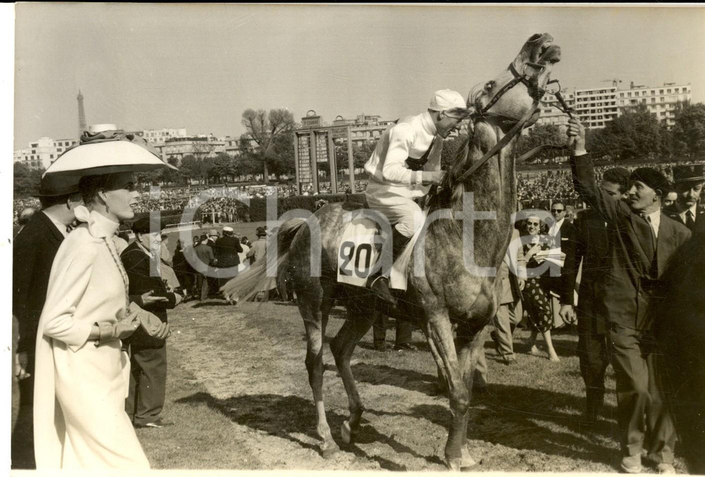 Fotografia d epoca originale 1957 IPPICA AUTEUIL F Cavallo QUIMILLGREY montato da DAUMAS nel paddock Foto 1