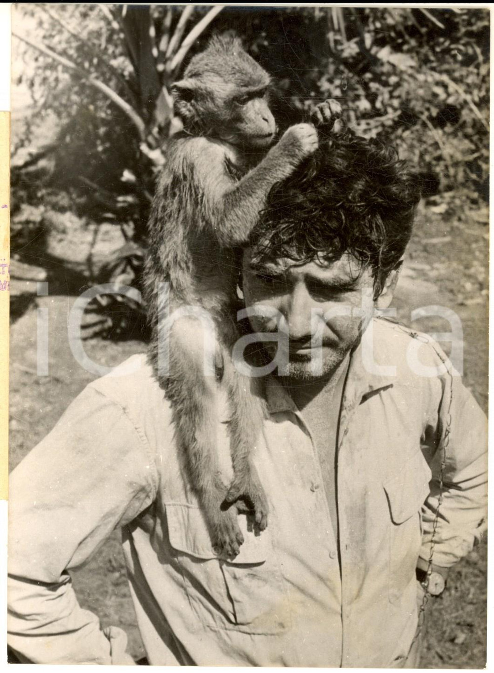 Fotografia d epoca originale 1957 CINEMA Daniel GELIN sur le set de Mort en fraude avec un singe Photo 1