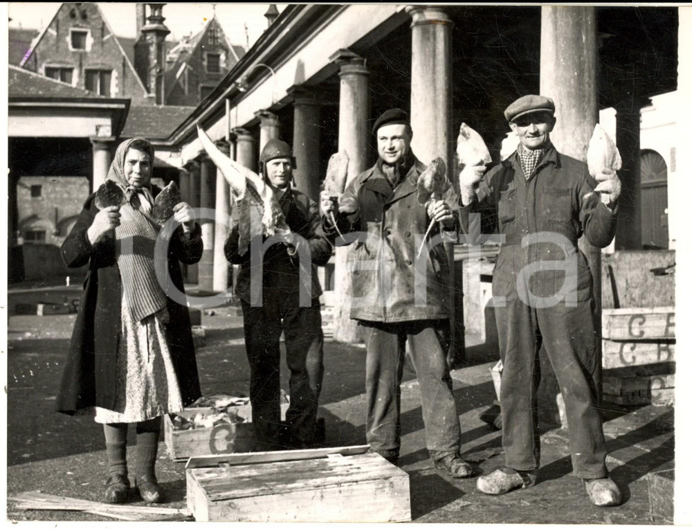 Fotografia d epoca originale 1954 BRUGES Venditori al mercato mostrano i pesci irrigiditi dal freddo Foto 1
