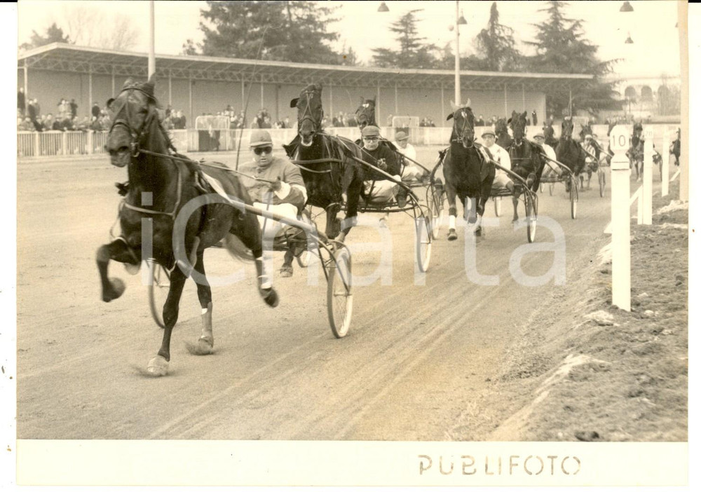 1956 MILANO IPPICA GRAN PREMIO D'EUROPA - Passaggio trotto secondo giro *Foto