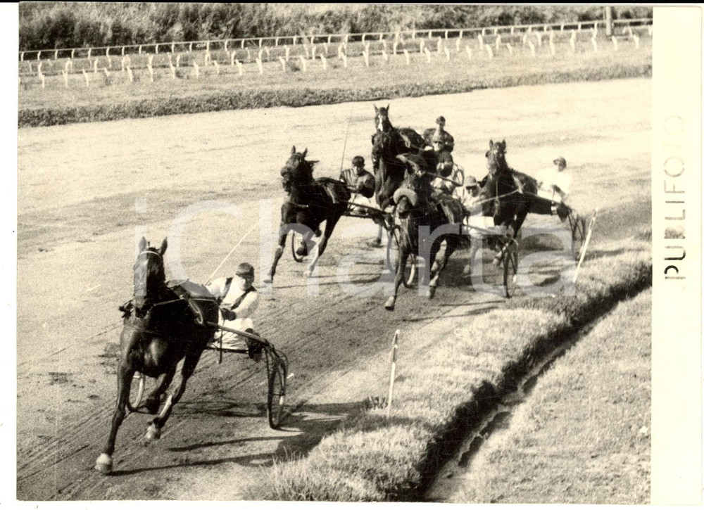 Fotografia d epoca originale 1956 NAPOLI IPPICA Gran Premio AGNANO Cavallo vincitore GELINOTTE in gara Foto 1