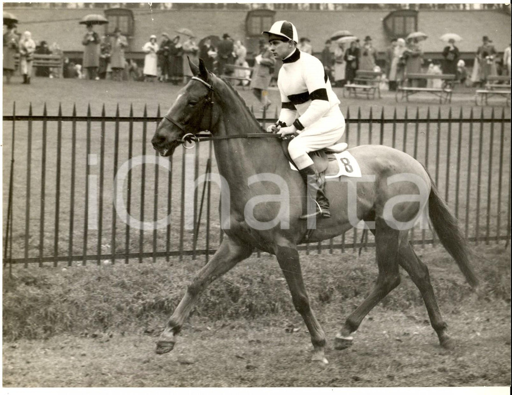 Fotografia d epoca originale 1958 AINTREE Grand National Steeplechase  Peter PICKFORD riding HART ROYAL 1