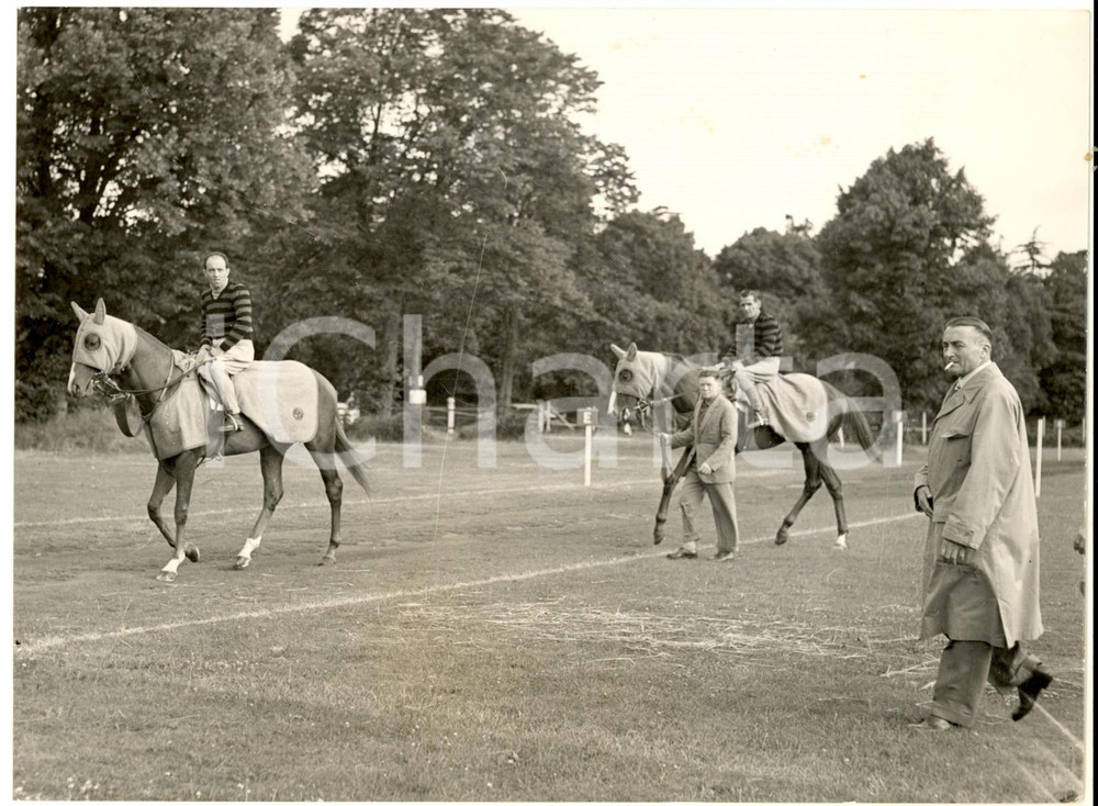 Fotografia d epoca originale 1953 ASCOT DERBY Allenamento cavalli italiani TELEMACO e ALBERIGO 20x15 cm 1