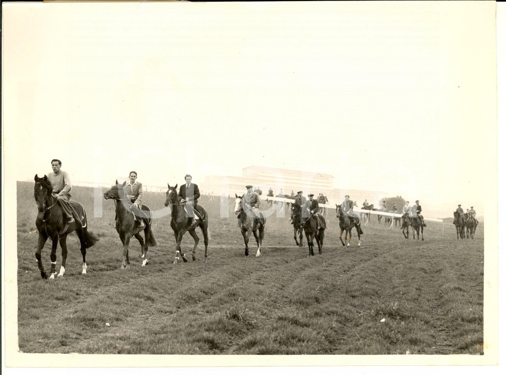 Fotografia d epoca originale 1954 EPSOM Derby  Horses from Walter NIGHTINGALE stables during preparation 1