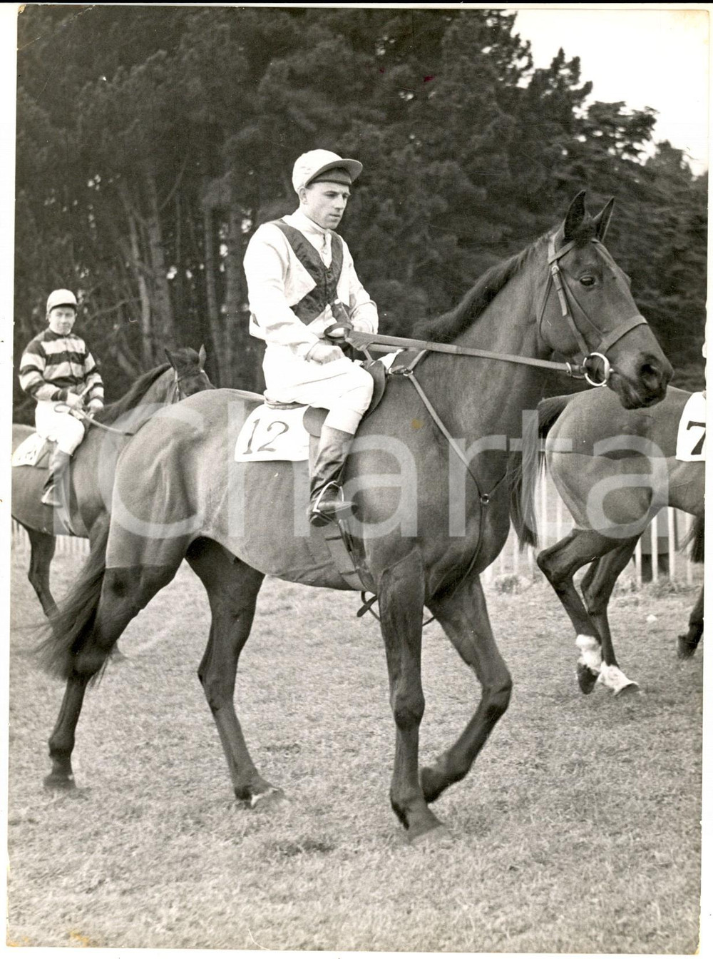 Fotografia d epoca originale 1959 AINTREE Grand National Steeplechase  Horse GOLD LEGEND with B. CARROLL 1