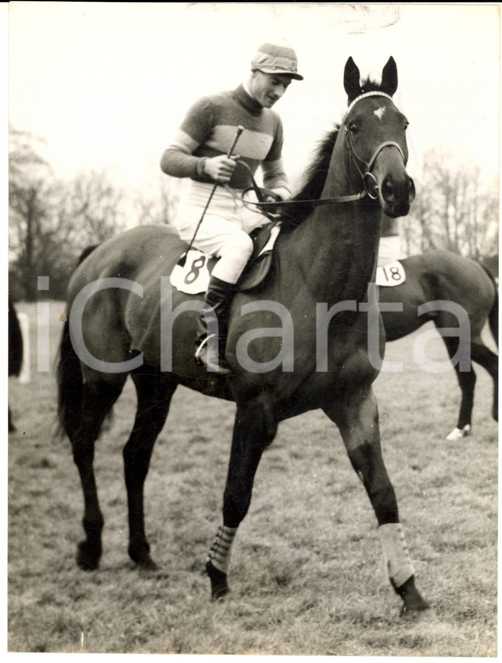 Fotografia d epoca originale 1958 AINTREE Grand National Steeplechase  Horse CANNOBIE LEE ridden by W. REES 1
