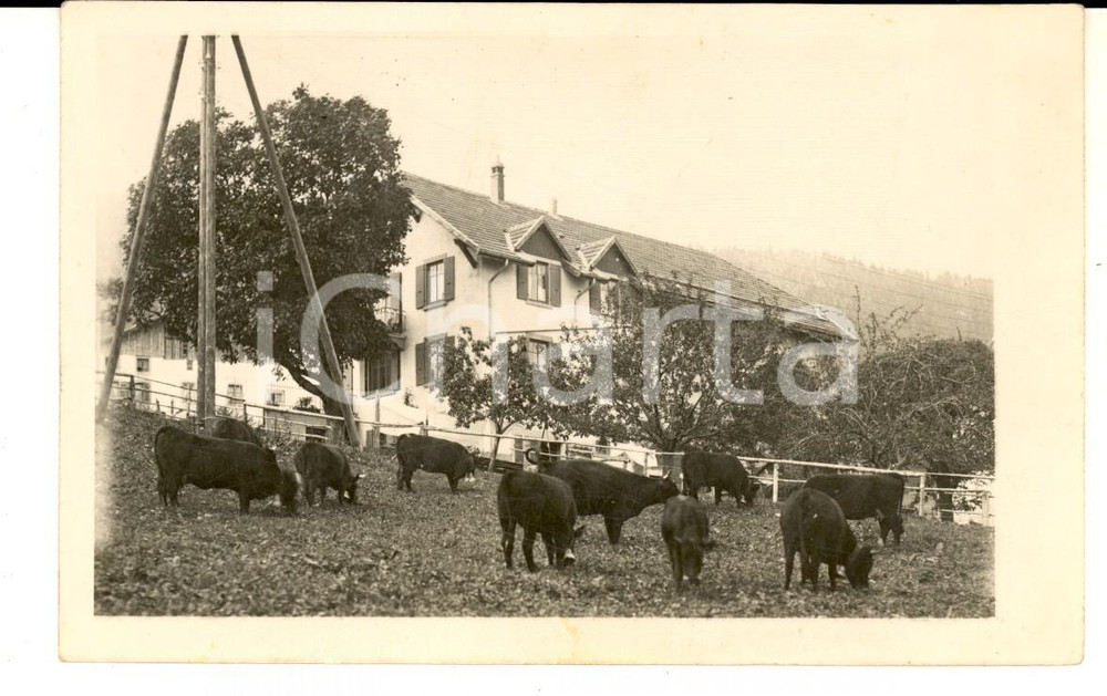 Fotografia d epoca originale 1930 ca SVIZZERA / SCHWEIZ Veduta di una dimora rurale Foto cartolina VINTAGE 1