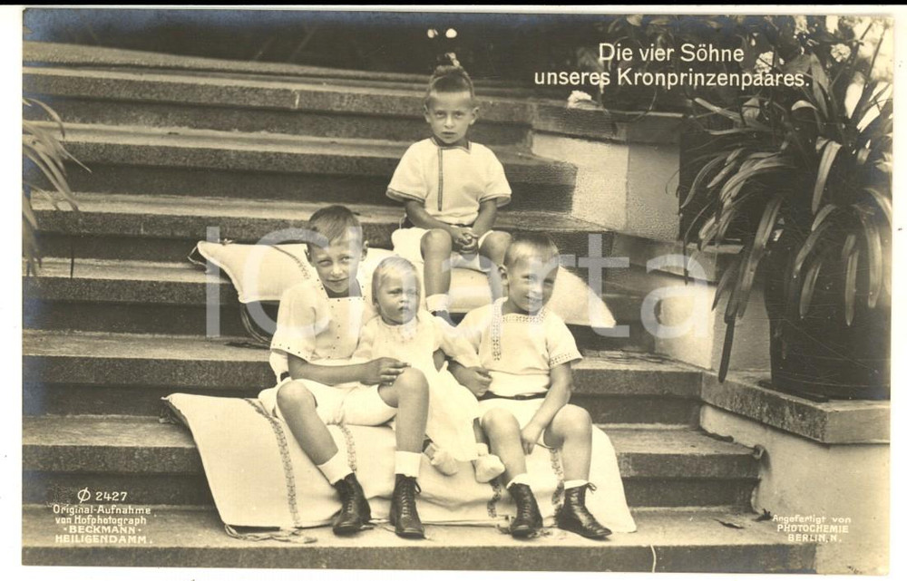 Cartolina originale da collezione 1912 GERMANIA I principi di Prussia bambini su una scalinata  Cartolina VINTAGE 1