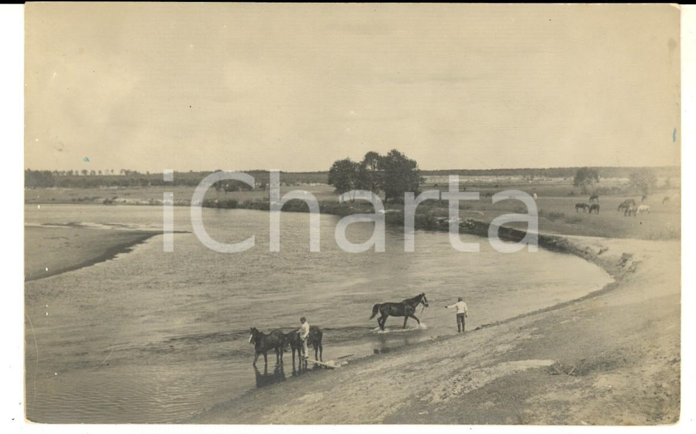 Fotografia d epoca originale 1920 ca RYBAKI POLAND Cavalli al guado di un fiume  Foto cartolina VINTAGE 1