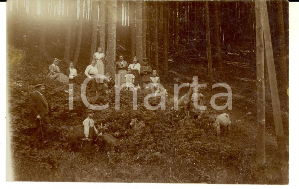 Fotografia d epoca originale 1916 BERLIN TEMPELHOF Escursione nel bosco con gli animali  Foto CURIOSA 1
