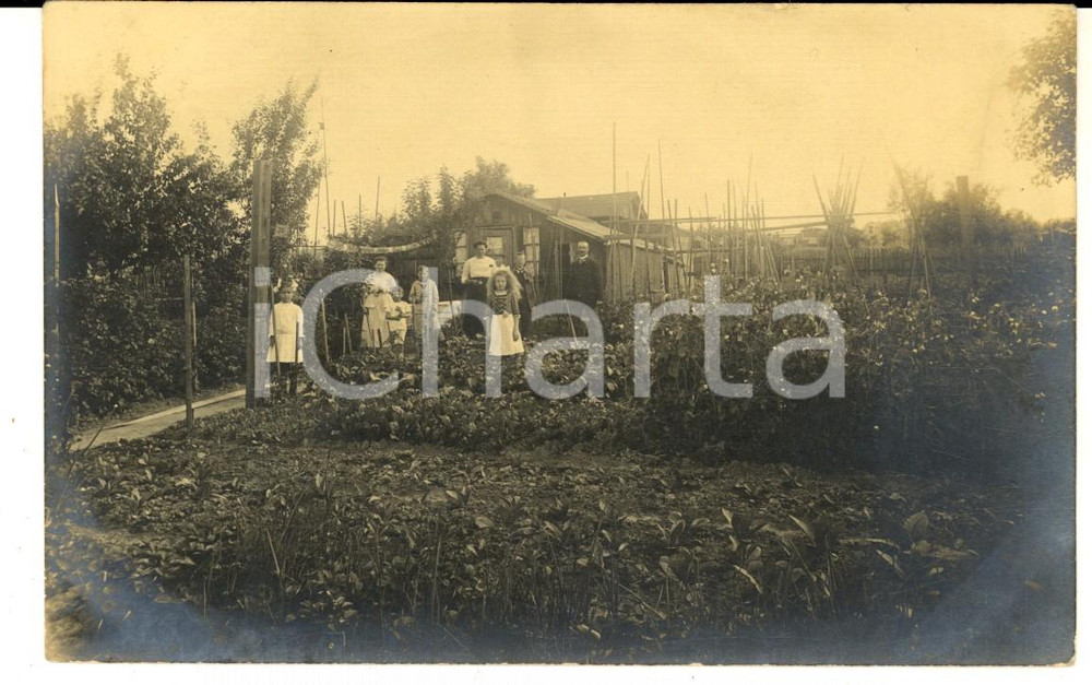 Fotografia d epoca originale 1910 ca GERMANIA Ritratto di famiglia nell orto  Foto cartolina VINTAGE 1