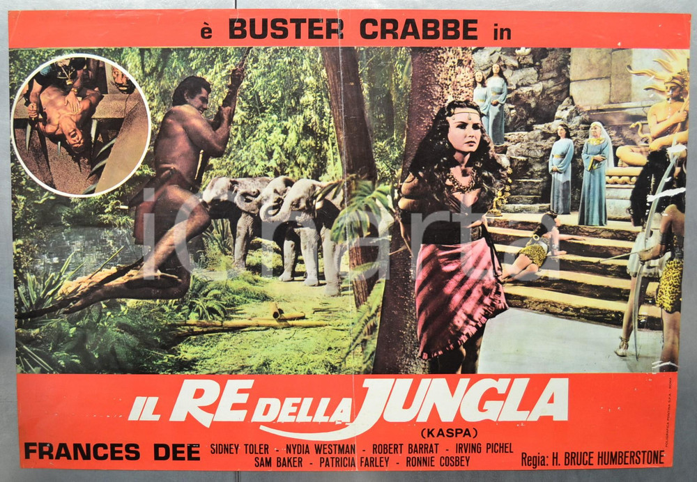 Materiale cinematografico d’epoca 1960ca KASPA IL RE DELLA JUNGLA Buster CRABBE Frances DEE Fotobusta DANNEGGIATA 1