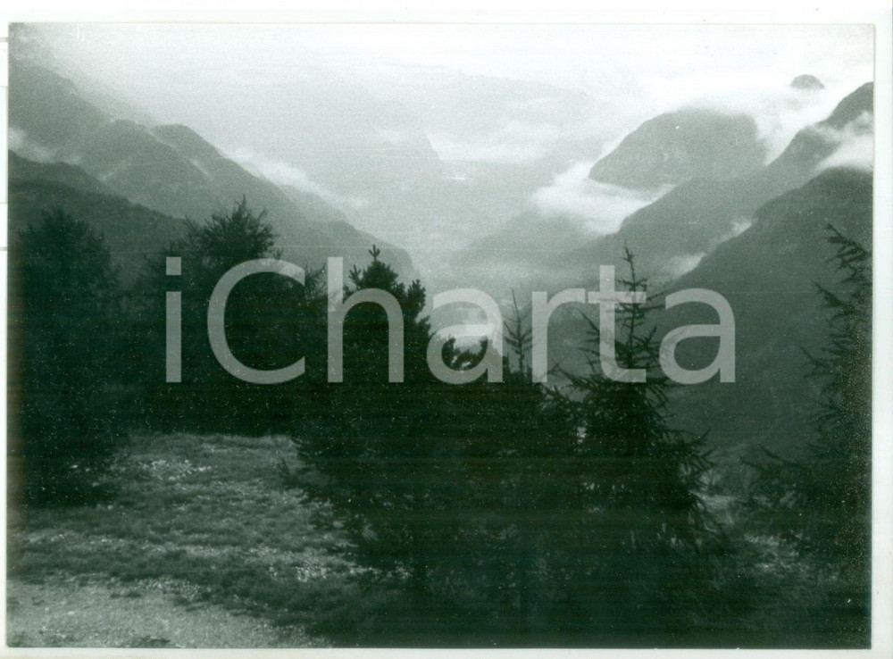 Fotografia d epoca originale 1982 FORTE BELVEDERE TN Veduta dall alto  Fotografia artistica 18x13 cm 1