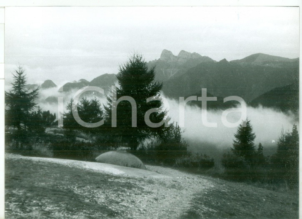 Fotografia d epoca originale 1982 FORTE BELVEDERE TN Cupola corazzata della Grande Guerra Foto ARTISTICA 1