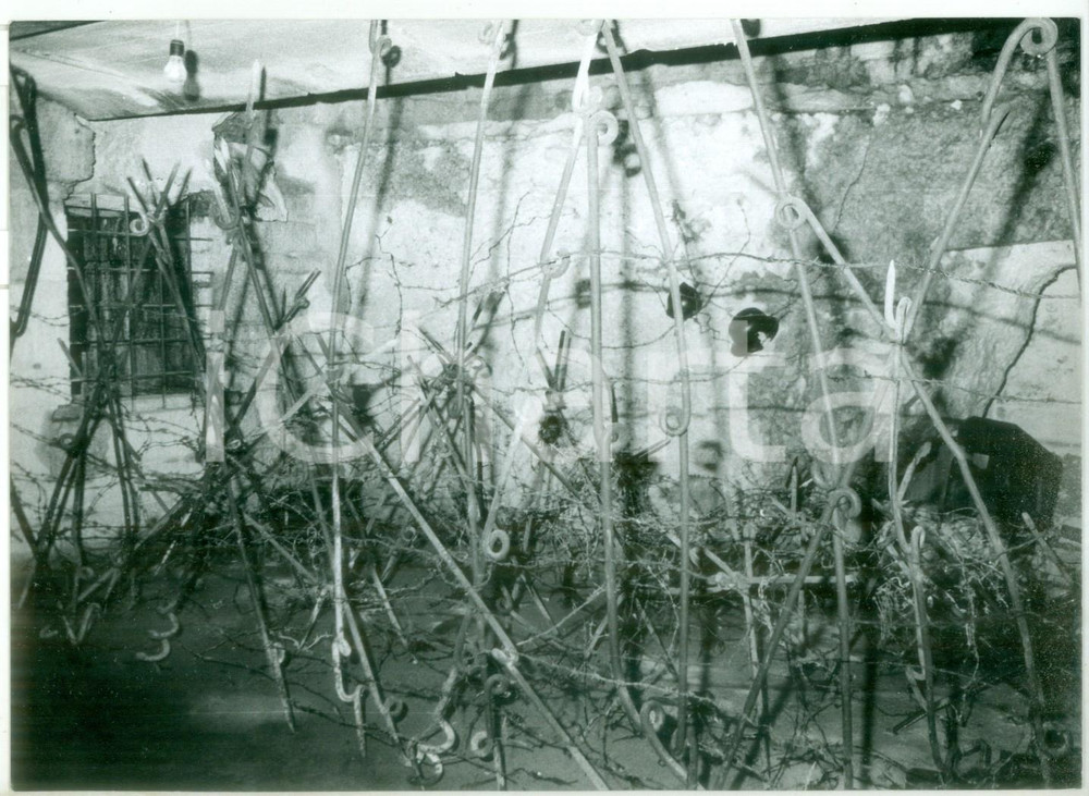 Fotografia d epoca originale 1982 FORTE BELVEDERE GSCHWENT TN Trincea in filo spinato Fotografia 18x13 1
