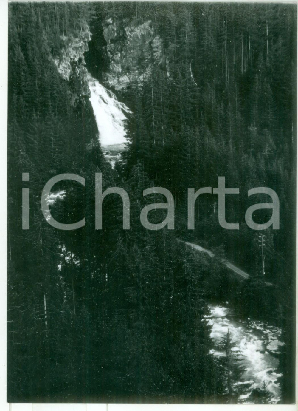 Fotografia d epoca originale 1982 CAMPO TURES BZ Veduta del torrente Riva tra gli alberi Fotografia 13x18 1