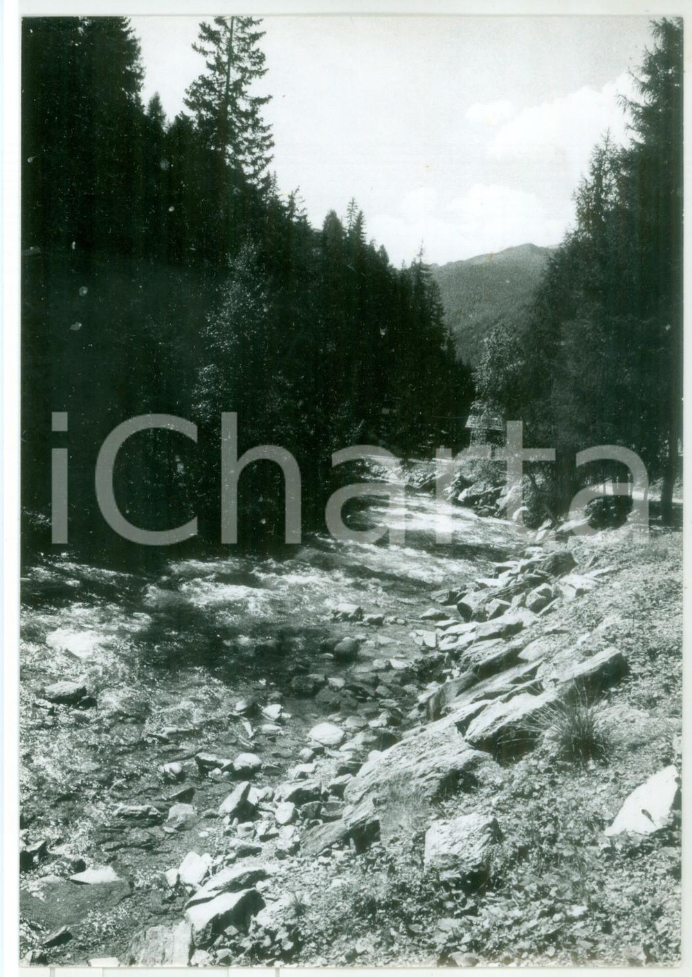 Fotografia d epoca originale 1979 SAN PIETRO BZ Ansa del torrente AURINO Fotografia vintage 13x18 cm 1