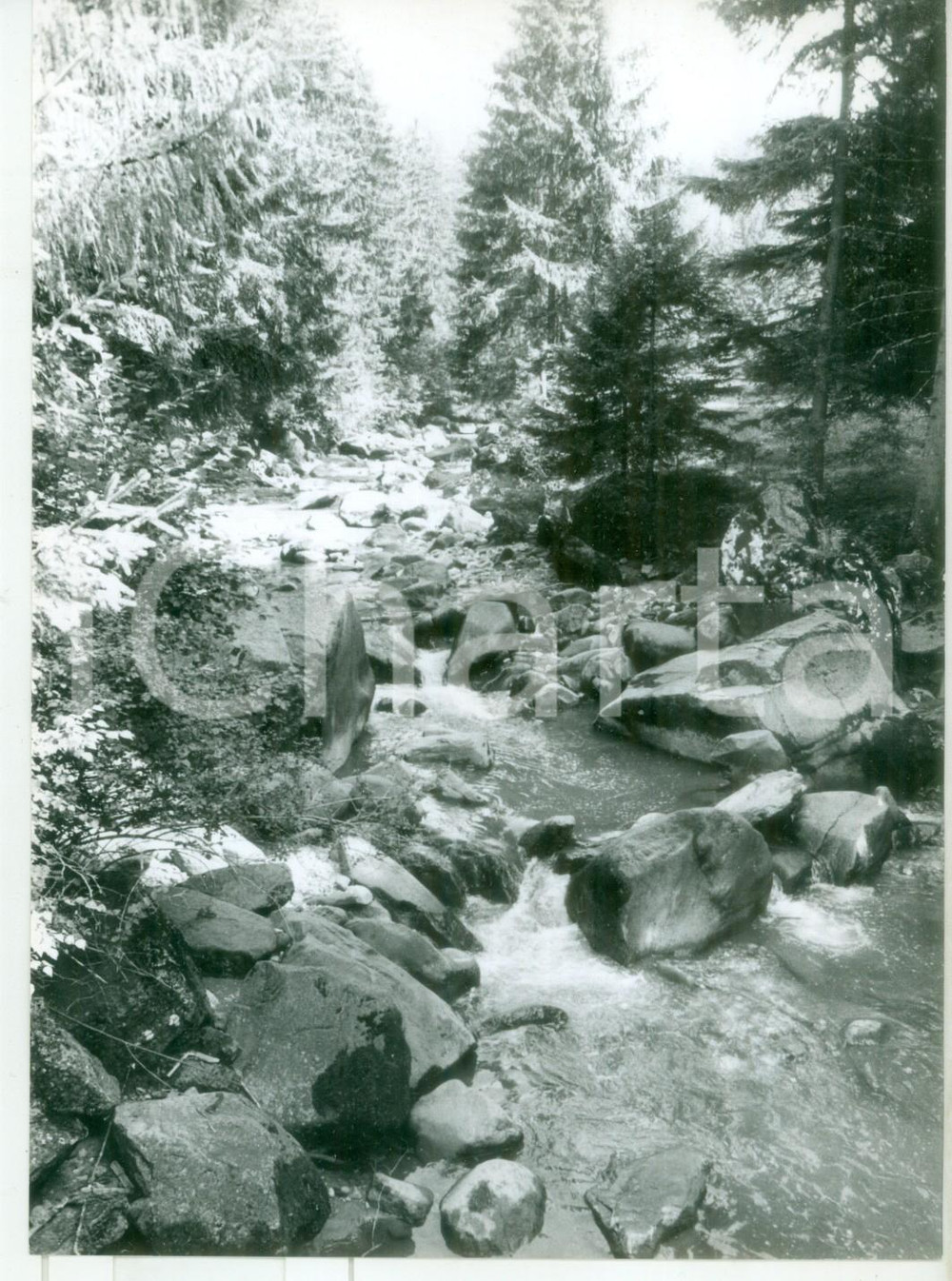 1982 VAL GARDENA (BZ) Anse del Rio Gardena *Fotografia vintage 18x13