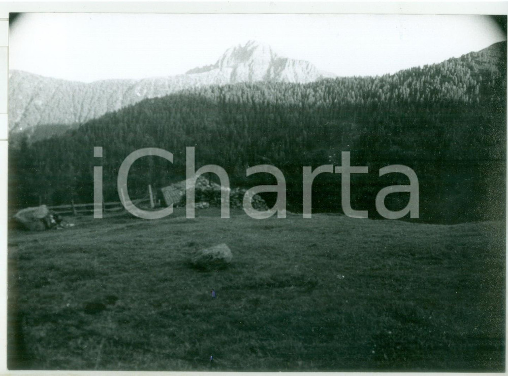 Fotografia d epoca originale 1982 PASSO DI PENNES BZ Veduta della vallata Fotografia vintage 18x13 cm 1