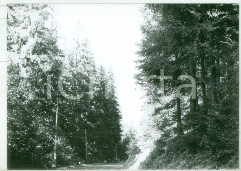 Fotografia d epoca originale 1982 PASSO DI PENNES BZ Veduta del valico Fotografia vintage 18x13 cm 1