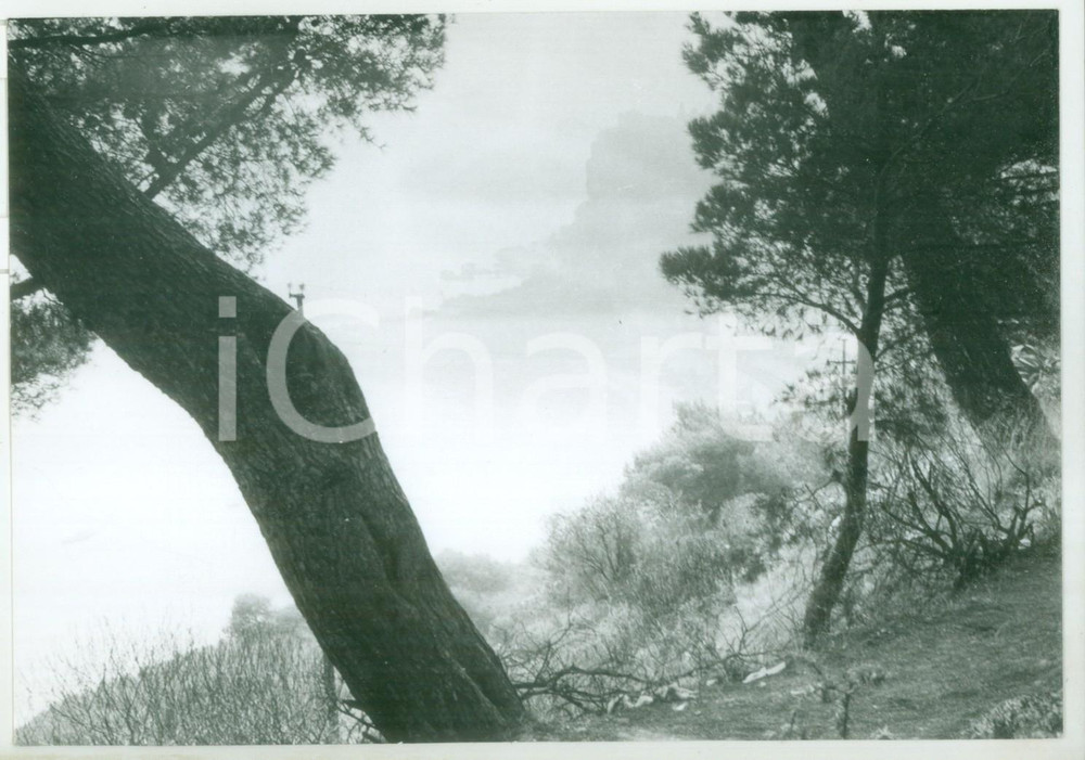Fotografia d epoca originale 1981 GRIMALDI IM Veduta sul mare dalla VIA AURELIA Fotografia artistica 18x13 1