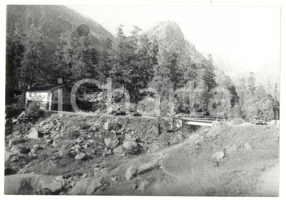 Fotografia d epoca originale 1980 ANTRONA SCHIERANCO Veduta di una foresta di abeti Foto VINTAGE 18x13 cm 1