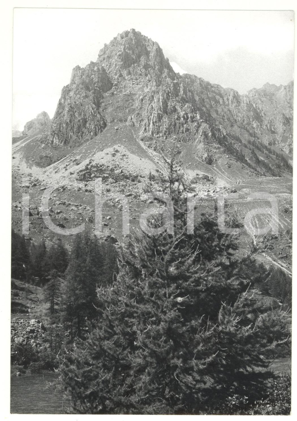 Fotografia d epoca originale 1981 SARETTO CN Veduta del massiccio sul lago MAIRA Foto VINTAGE 13x18 1