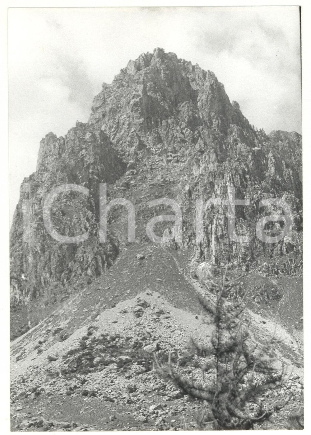 Fotografia d epoca originale 1981 SARETTO CN Veduta delle Alpi Cozie Foto VINTAGE 18x13 cm 1