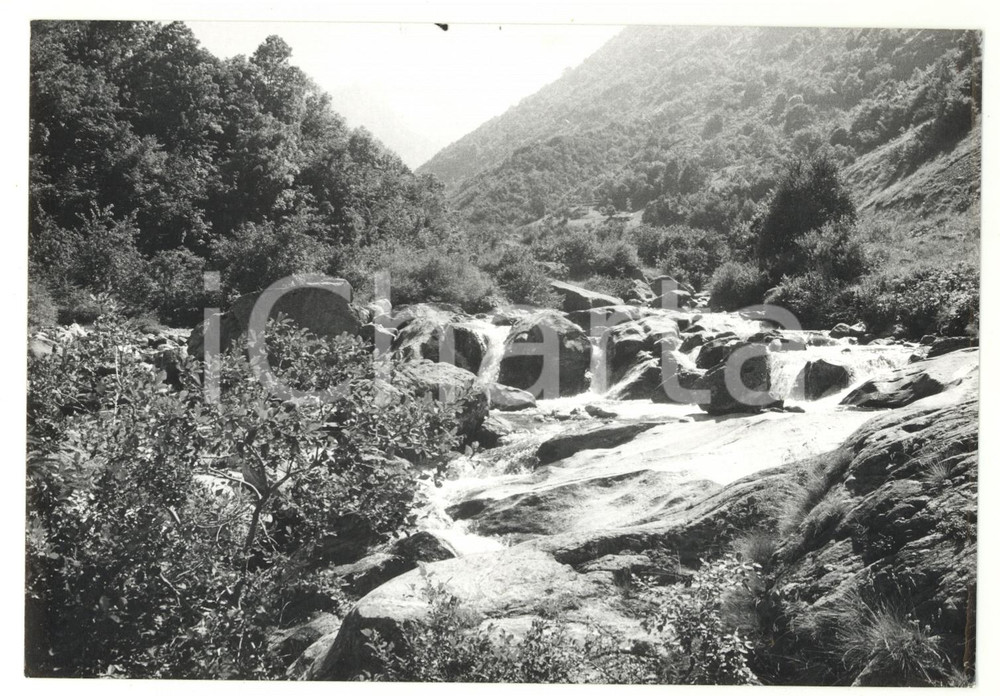 Fotografia d epoca originale 1981 VALLE S. GIACOMO Veduta panoramica del torrente Gesso della Barra Foto 1