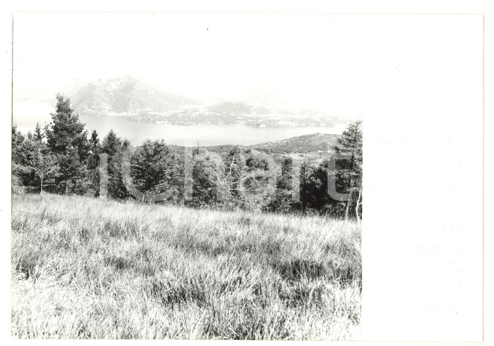 Fotografia d epoca originale 1980 MONTE MOTTARONE VB Veduta del lago di VARESE Foto VINTAGE 18x13 1