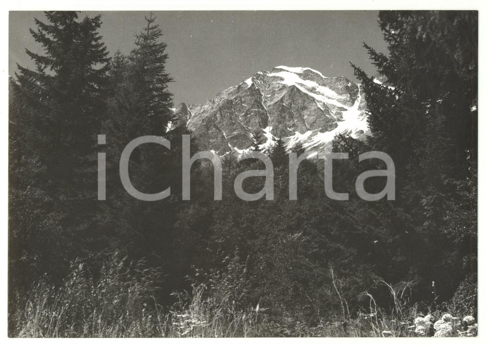 1980 VALLE ANZASCA Veduta del MONTE ROSA *Fotografia artistica 18x13 cm