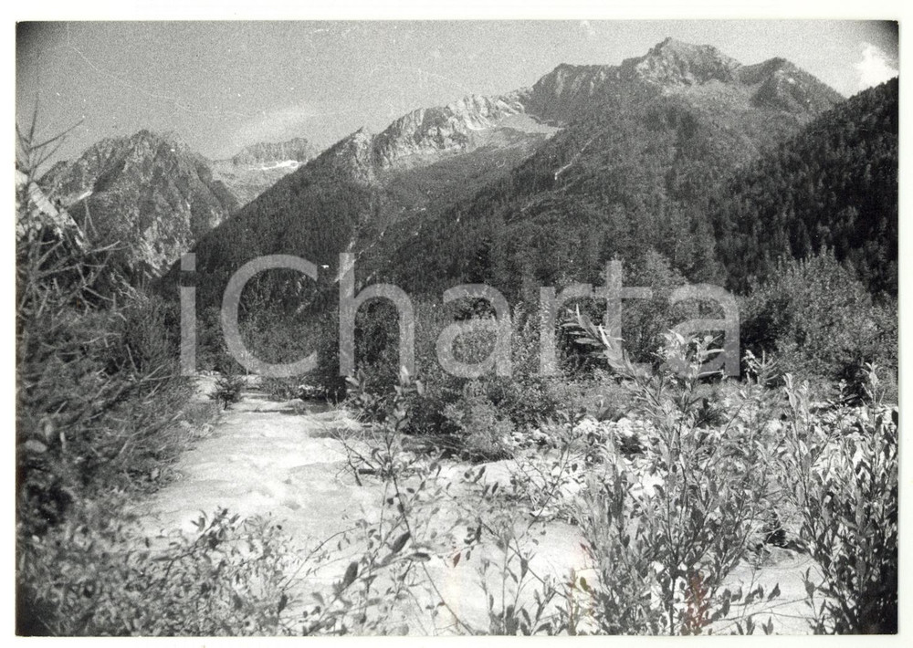 Fotografia d epoca originale 1980 VALLE ANZASCA Veduta panoramica del torrente ANZA Foto ARTISTICA 18x13 cm 1