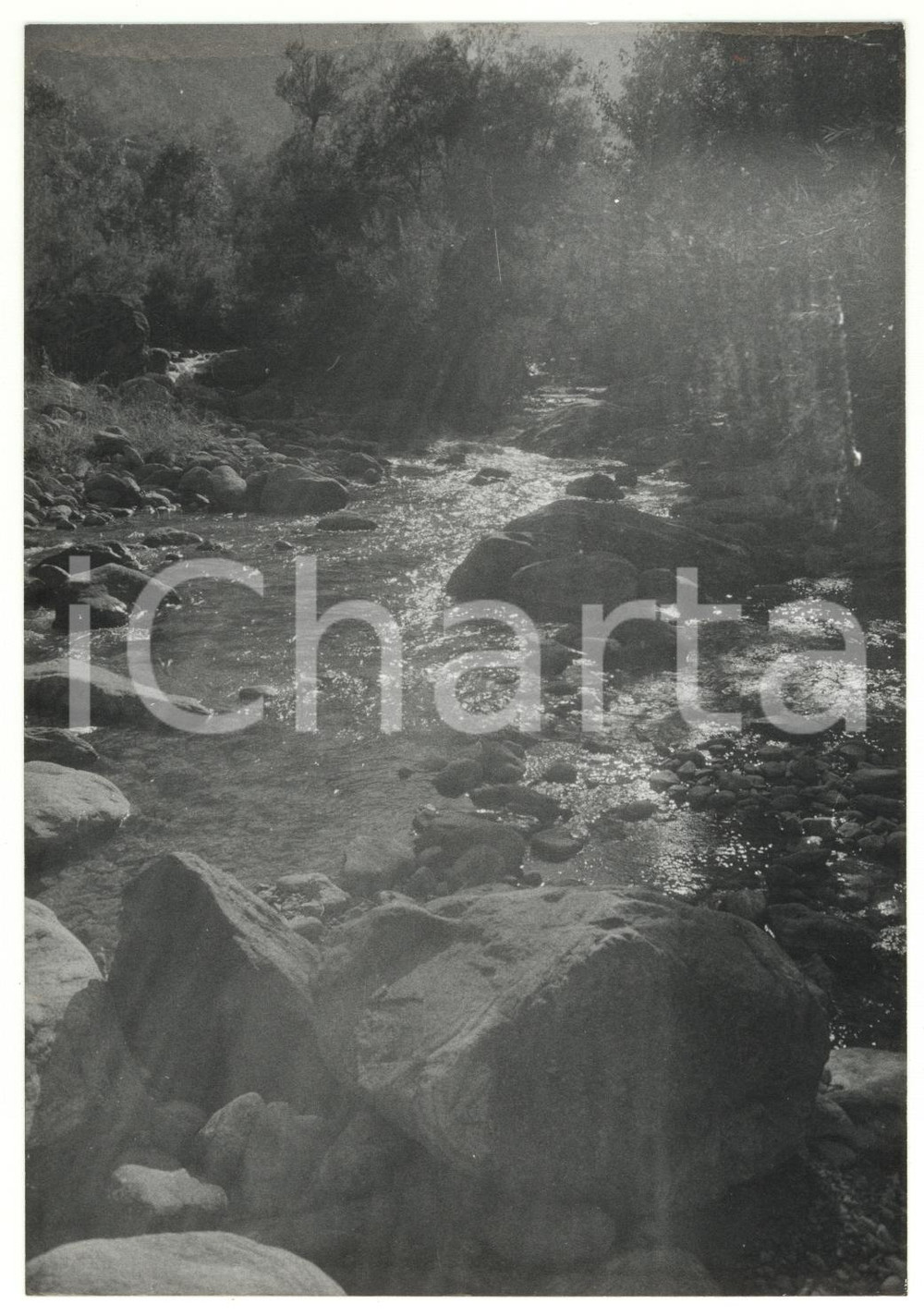 1981 VALLE SAN GIACOMO Veduta del torrente GESSO DELLA BARRA *Foto VINTAGE 13x18