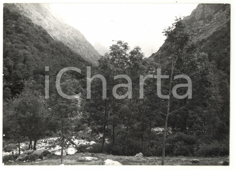1974 VALLE GESSO DELLA BARRA (CN) Veduta panoramica *Foto VINTAGE 18x13 cm